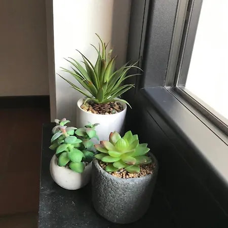 La Maison Du Pecheur Vakantiehuis