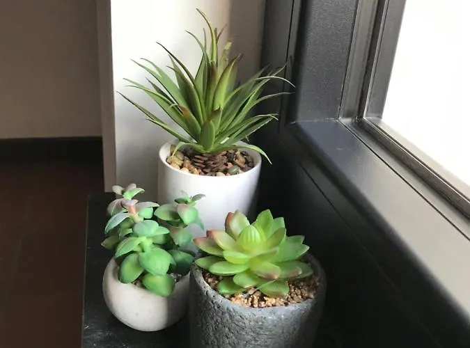 La Maison Du Pecheur Semesterbostad